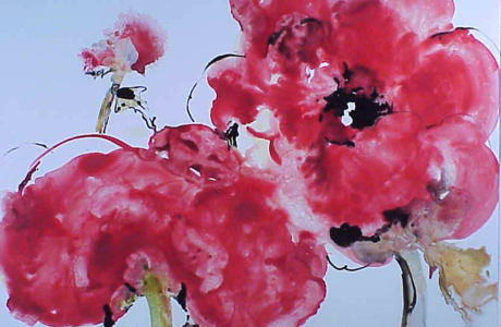 Poppies - Драгица Гађански