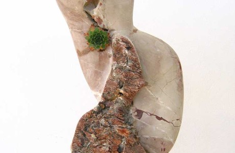 Mијо Mијушковић